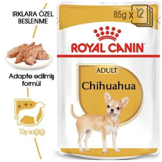 Royal Canin Chihuahua Irkı Özel Yaş Köpek Maması 12 Adet x 85 Gr
